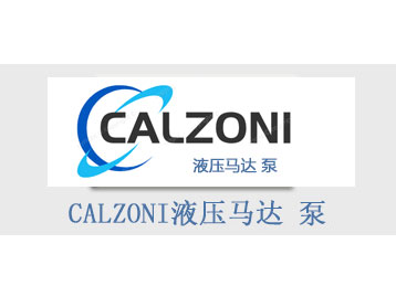 意大利CALZONI液压马达 泵